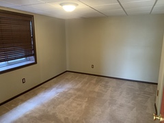 Basement Bedroom